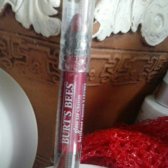 Bur'ts Bees Other - Burt's Bees gloss lip crayon Pacific Coast 421